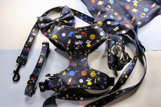 How to pick the right accessories for your dog?
