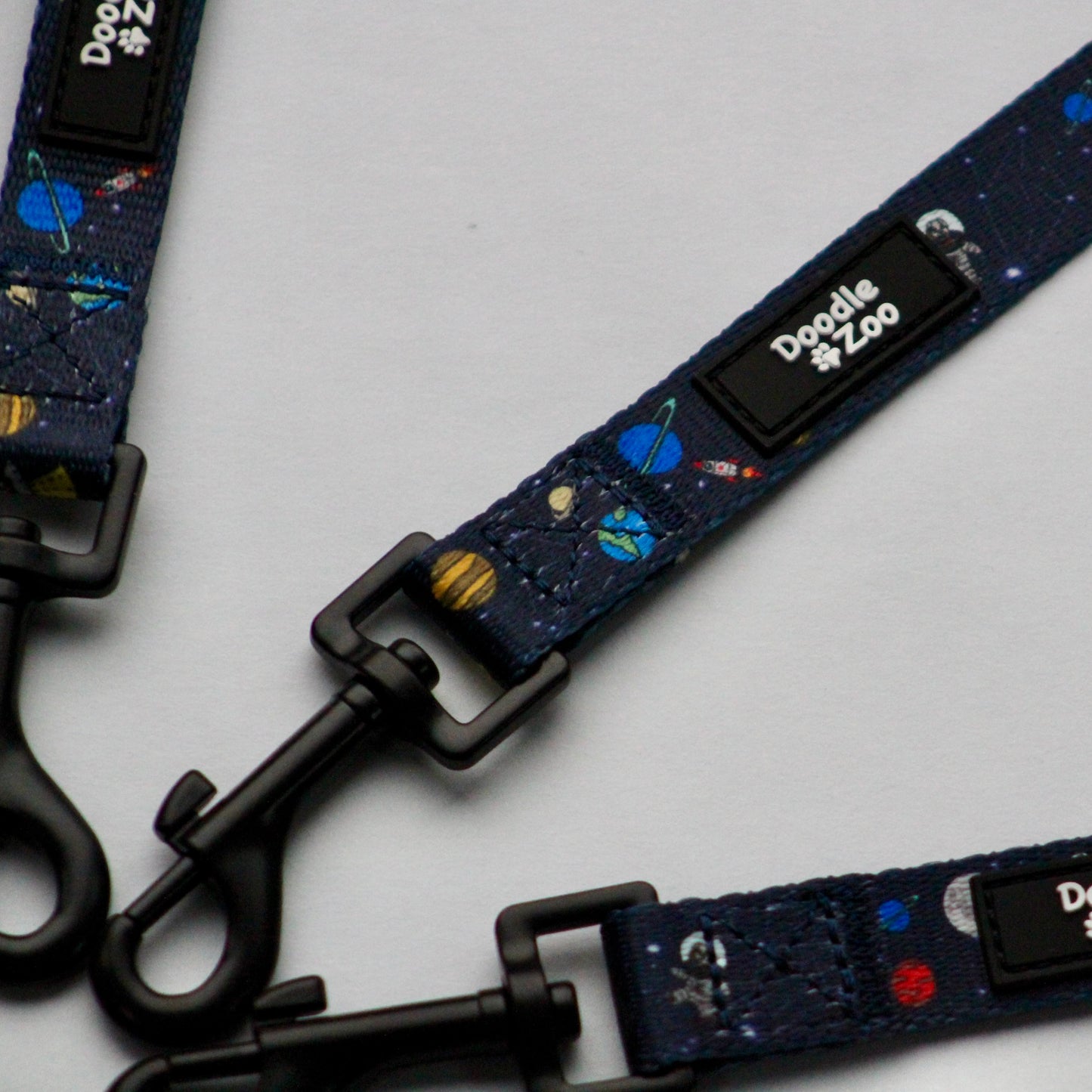 Dog lead - Out Of This World!