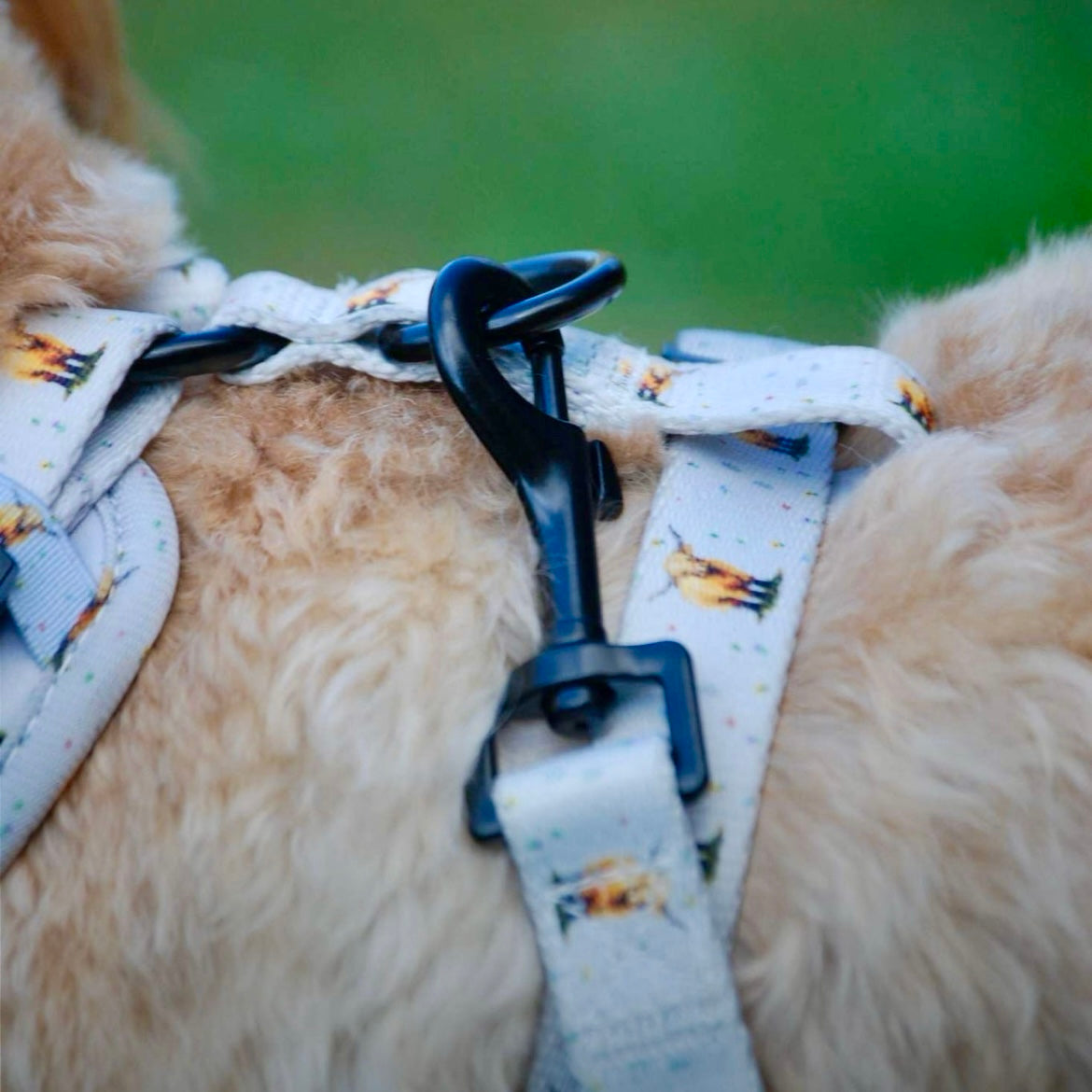 Dog Lead - Get Moovin’