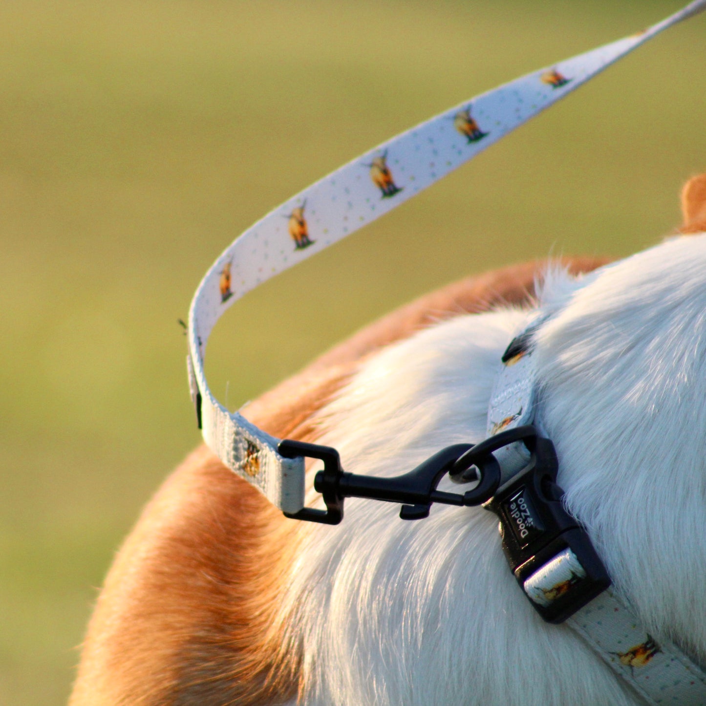 Dog Lead - Get Moovin’