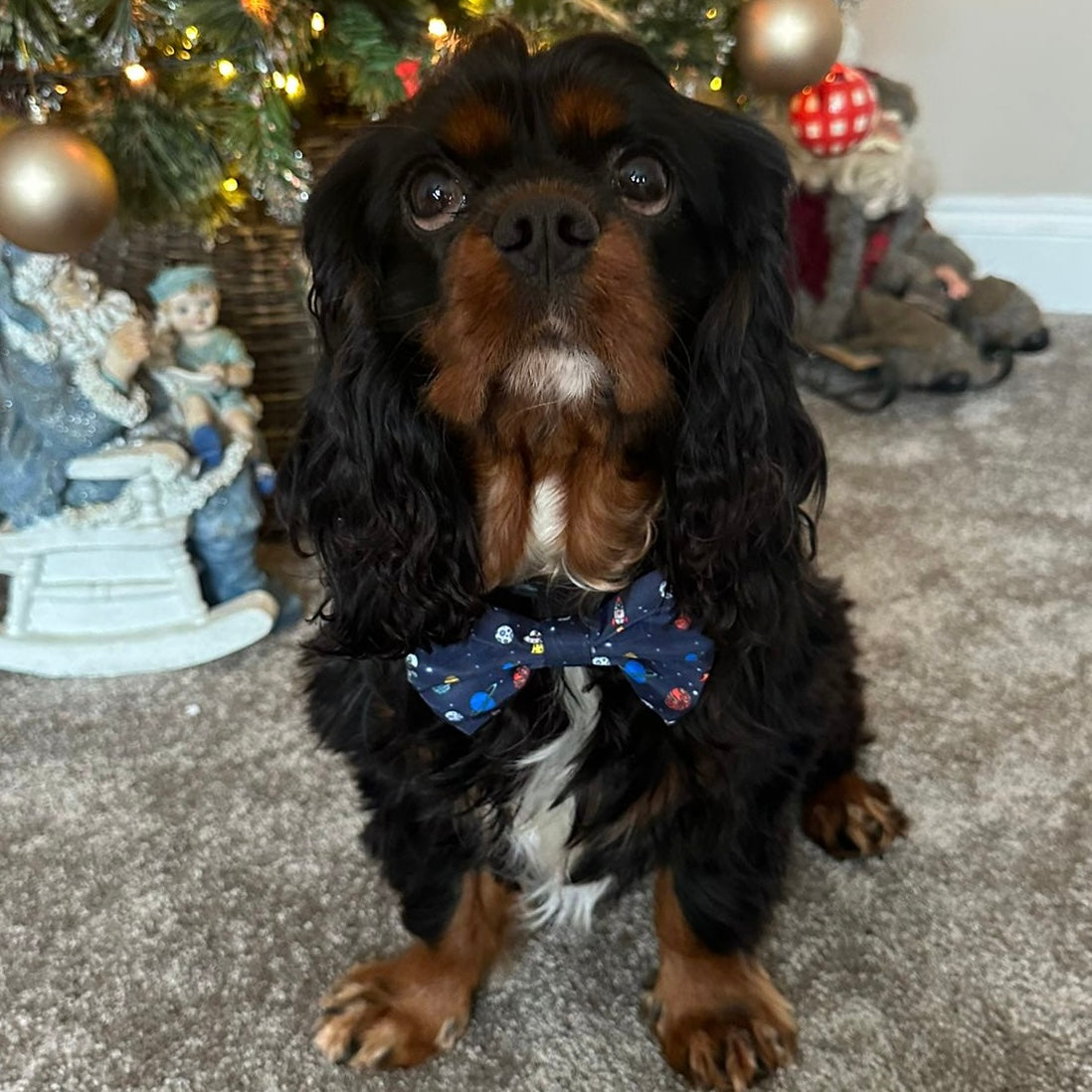 Dog Bow Tie - Out Of This World!