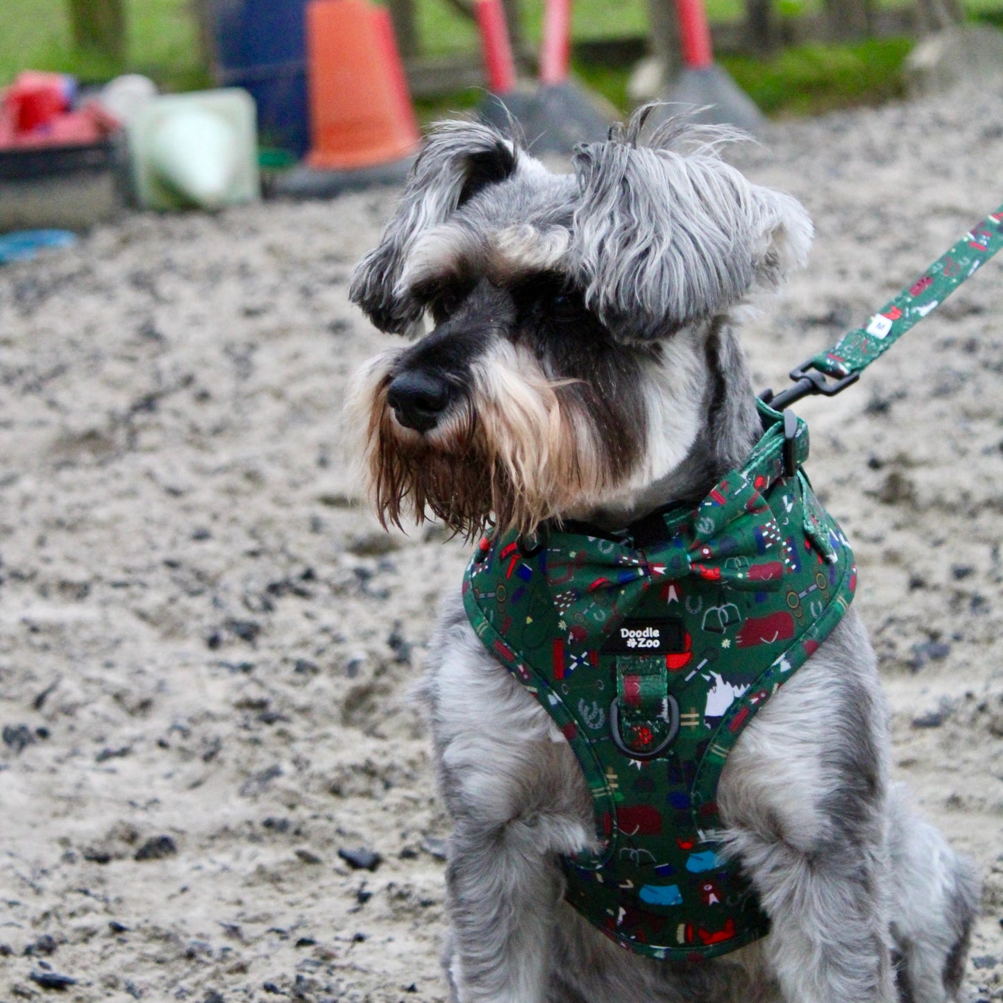 Dog Bow Tie - Derby Daze