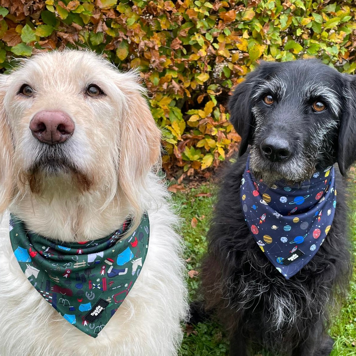 Dog Bandana - Out Of This World!