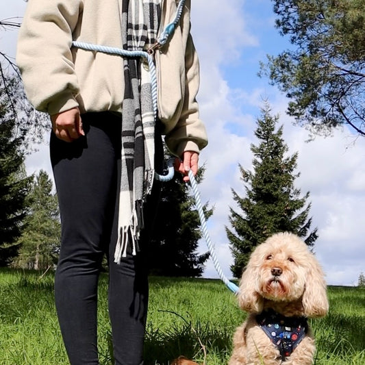 Multiway Dog Lead - Baby Blue