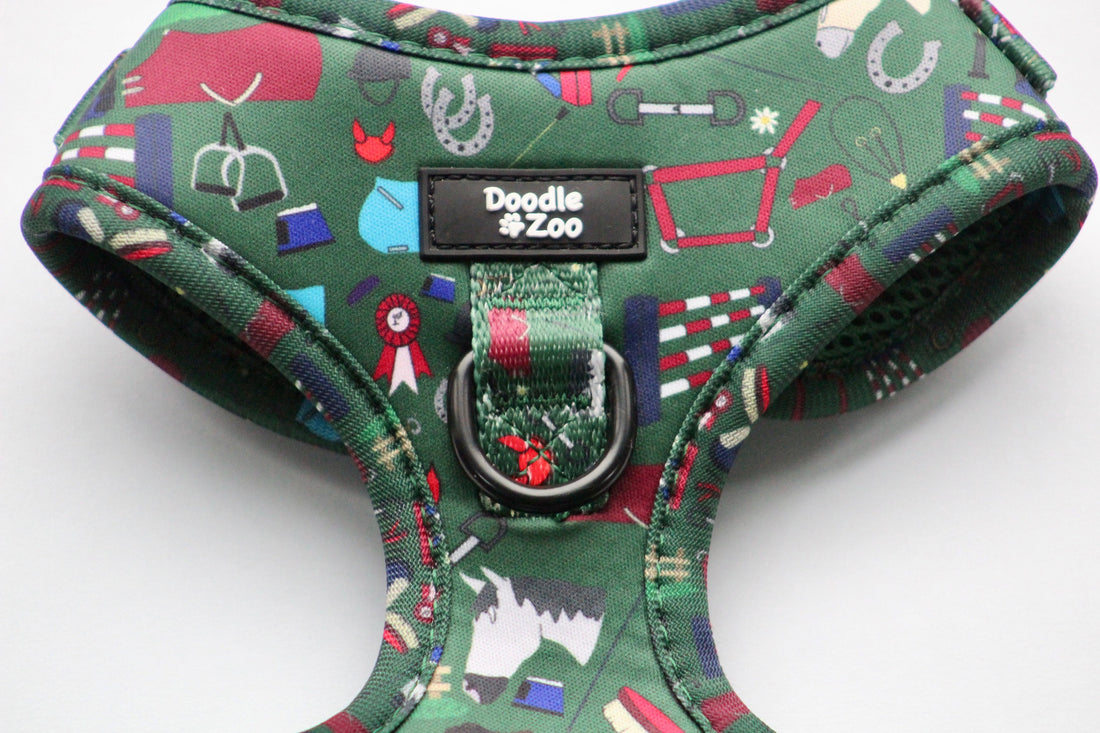 Doodle Zoo logo on a dog harness