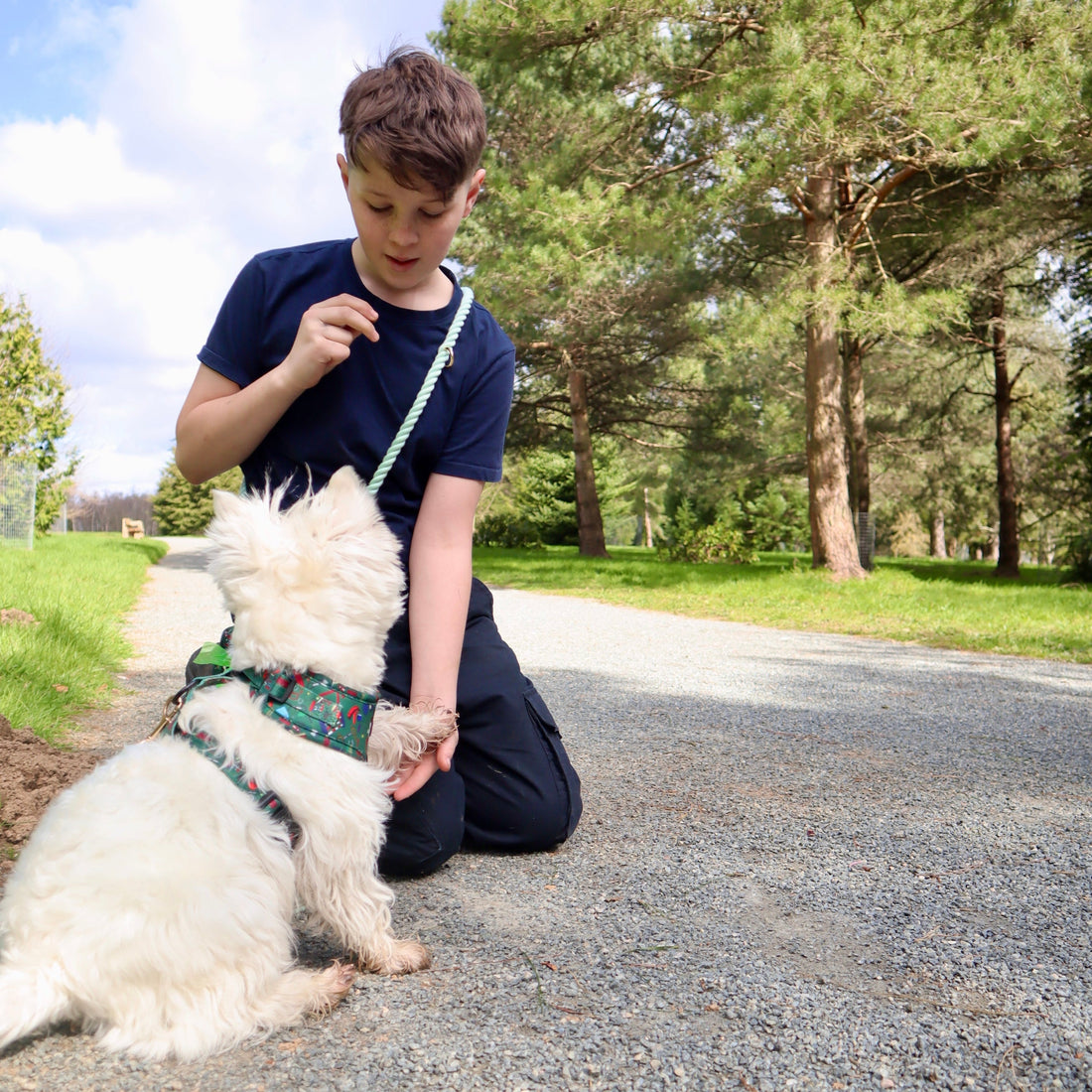 The Best Summer Walks in Kent
