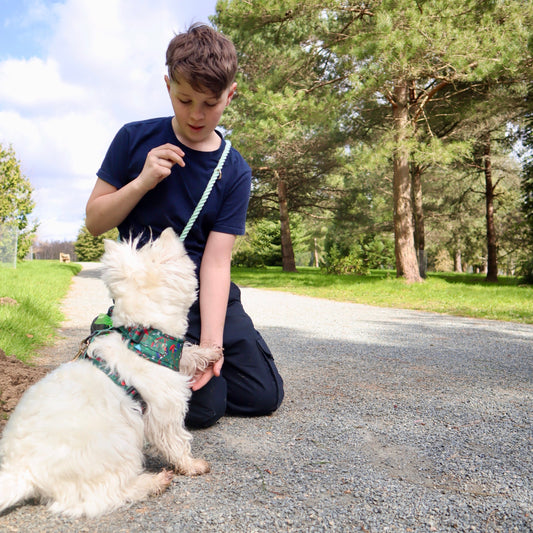 The Best Summer Walks in Kent