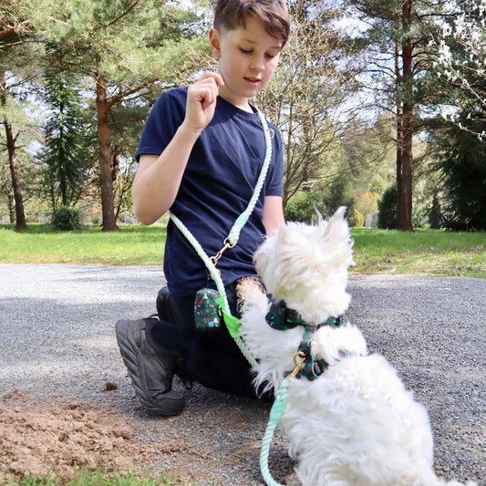The Best Dog‑Friendly Cafés in Kent & East Sussex