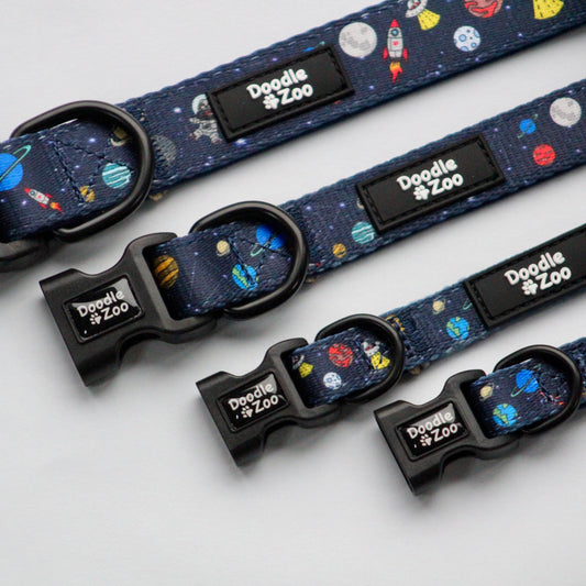 Dog Collar - Out Of This World!