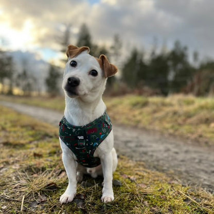 Adjustable Dog Harness - Derby Daze
