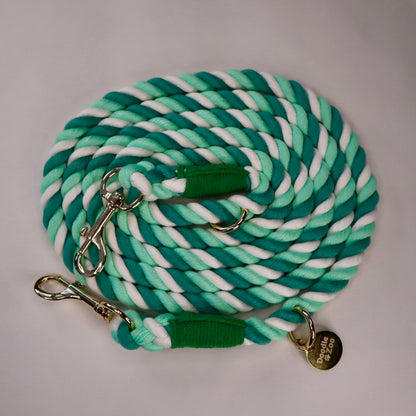 Multiway Dog Lead - Mint Swirl