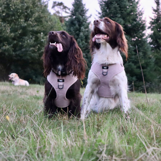 Dog Harness - Rural Collection - Walnut