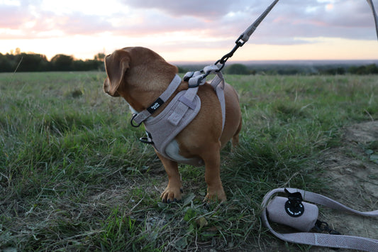 Dog Poop Bag Holder - Rural Collection - Walnut
