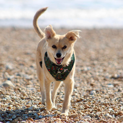 Adjustable Dog Harness - Derby Daze