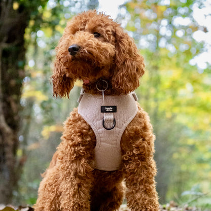 Dog Harness - Rural Collection - Walnut