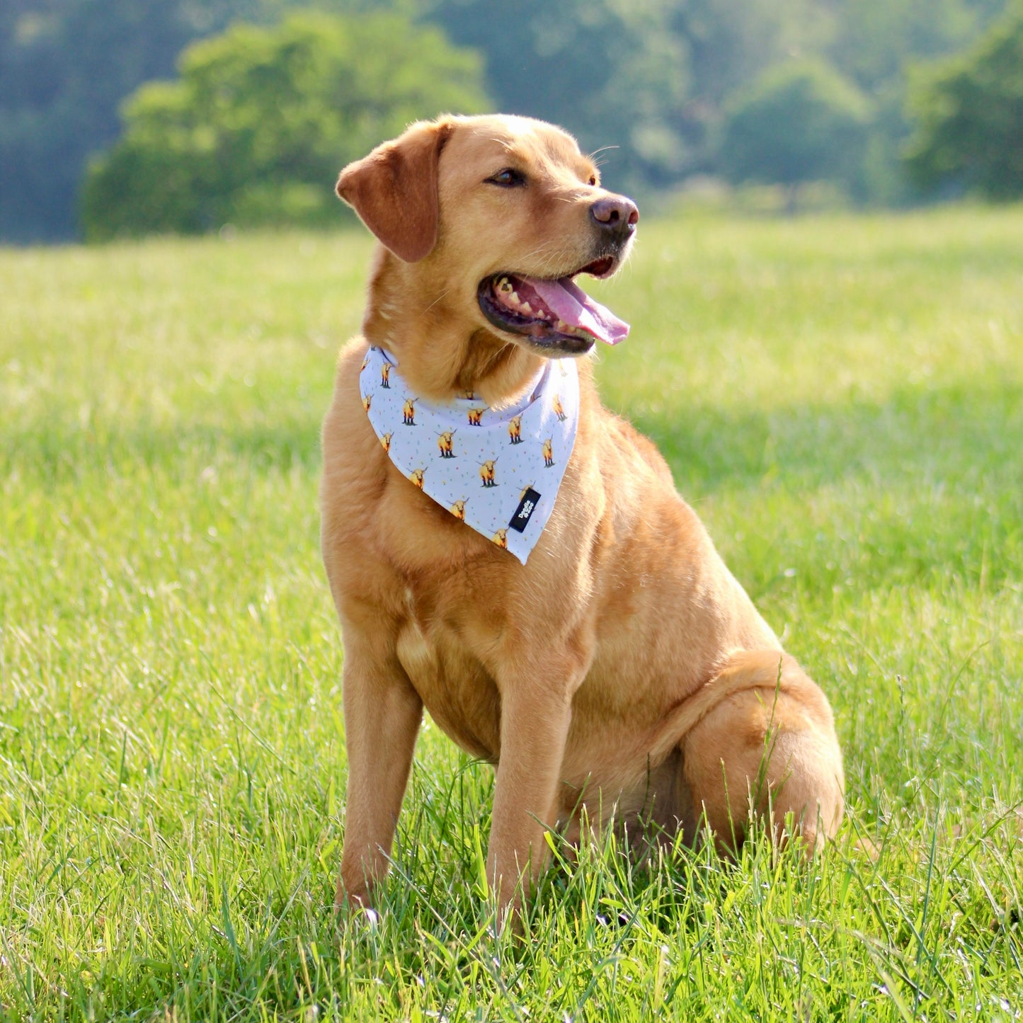 Dog Bandana - Get Moovin’