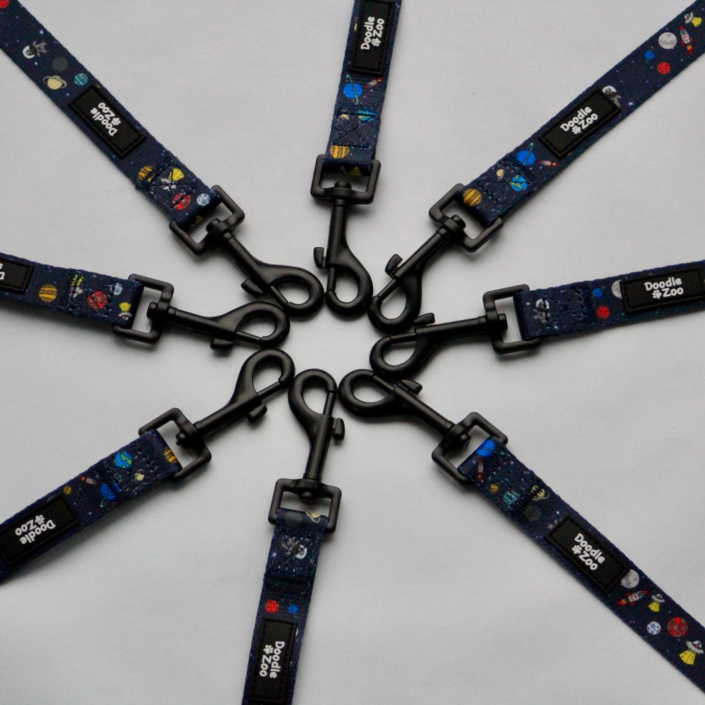 Dog lead - Out Of This World!