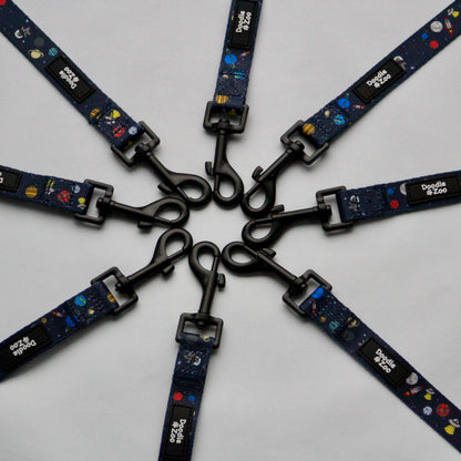 Dog lead - Out Of This World!