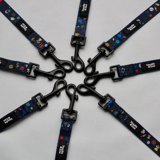 Dog lead - Out Of This World!