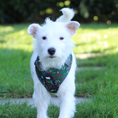 Adjustable Dog Harness - Derby Daze