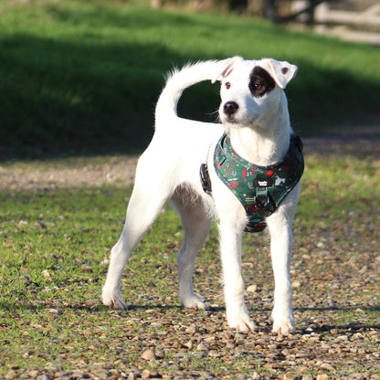 Adjustable Dog Harness - Derby Daze