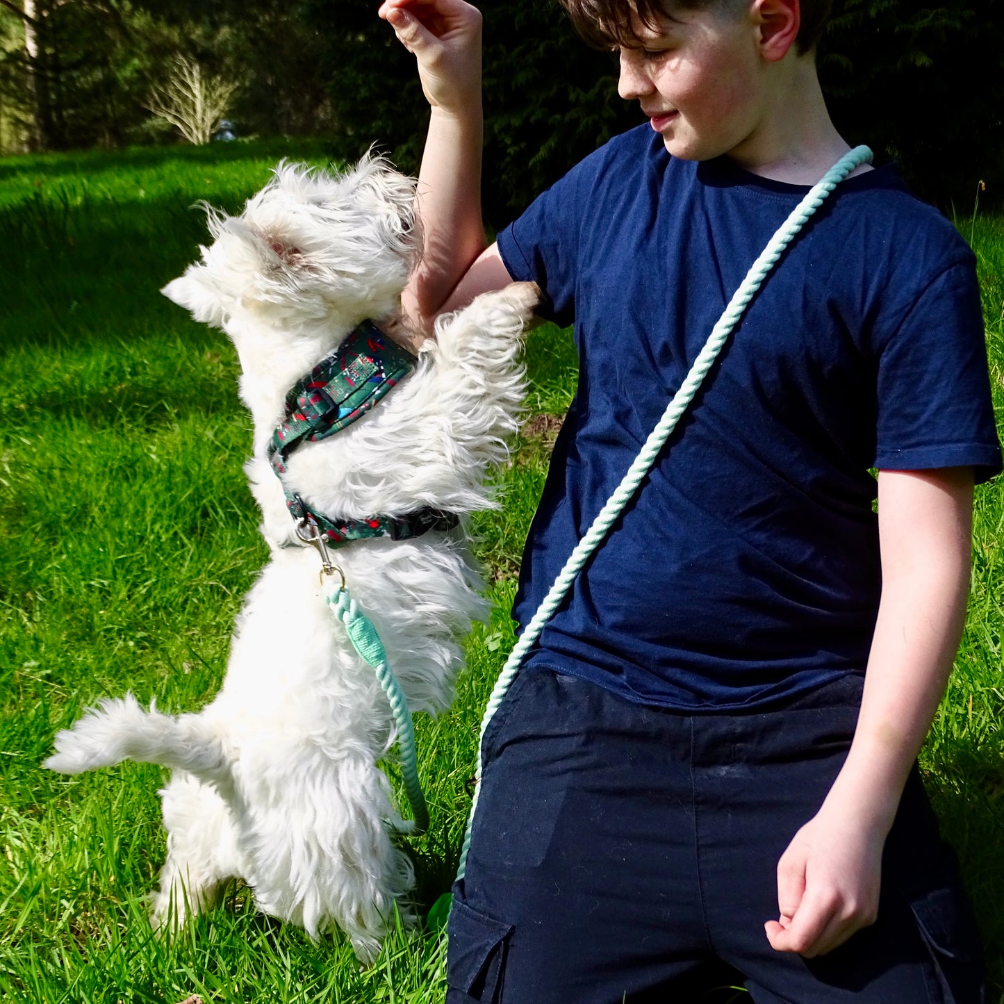 Multiway Dog Lead - Mint