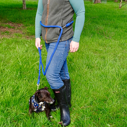 Multiway Dog Lead - Royal Blue