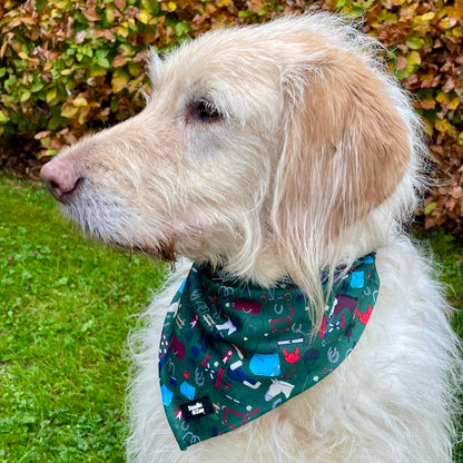 Dog Bandana - Derby Daze