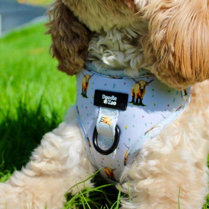 Adjustable Dog Harness - Get Movin’