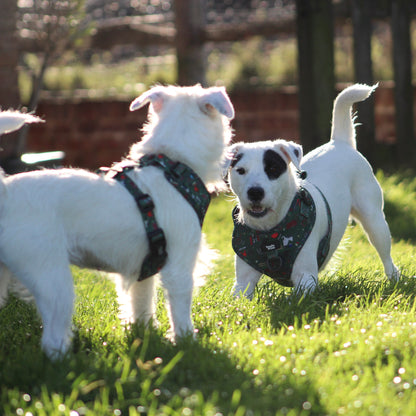 Adjustable Dog Harness - Derby Daze