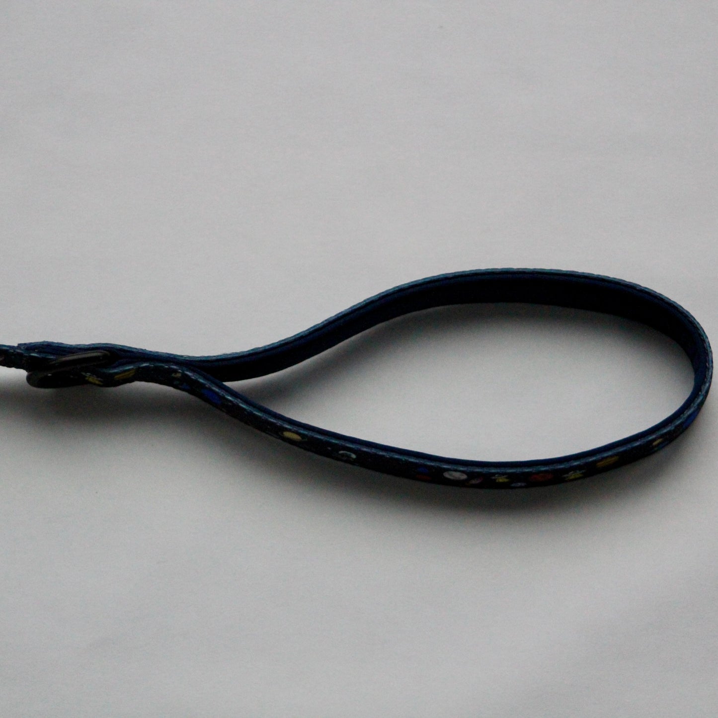 Dog lead - Out Of This World!
