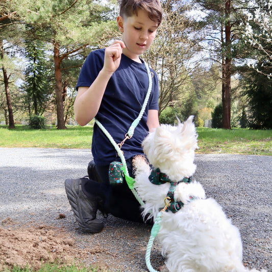 Multiway Dog Lead - Mint