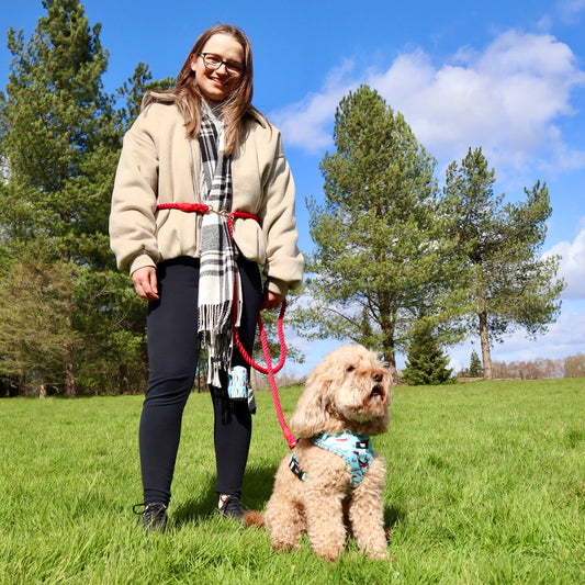 Multiway Dog Lead - Chilli Red