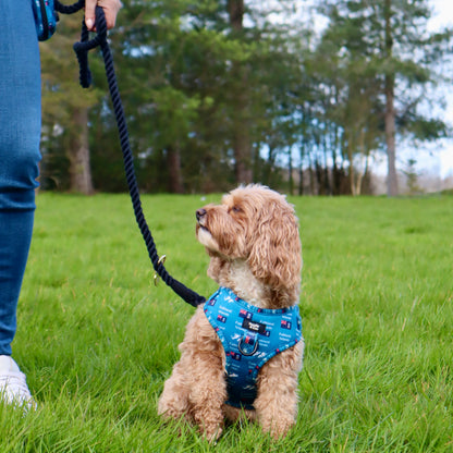 Multiway Dog Lead - Jet Black