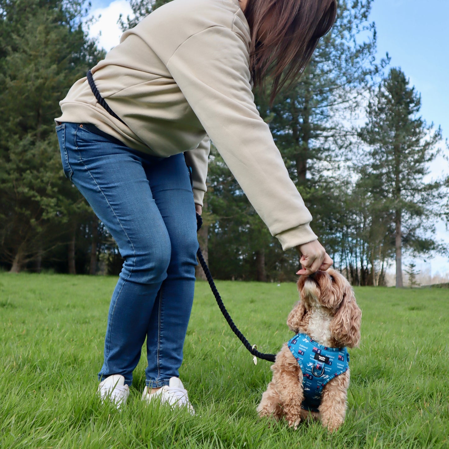 Multiway Dog Lead - Jet Black