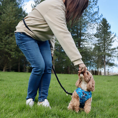 Multiway Dog Lead - Jet Black