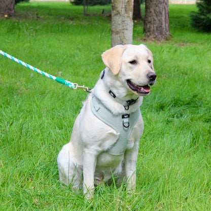 Adjustable Dog Harness - Rural Collection - Sage