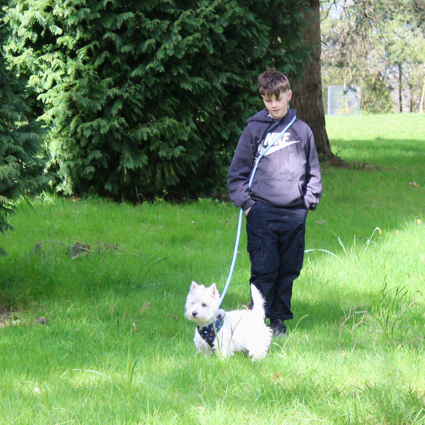 Multiway Dog Lead - Baby Blue