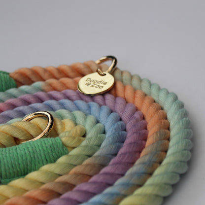 Multiway Dog Lead - Rainbow