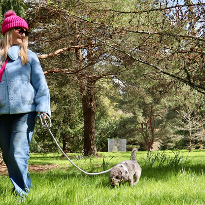 Multiway Dog Lead - Steel Grey