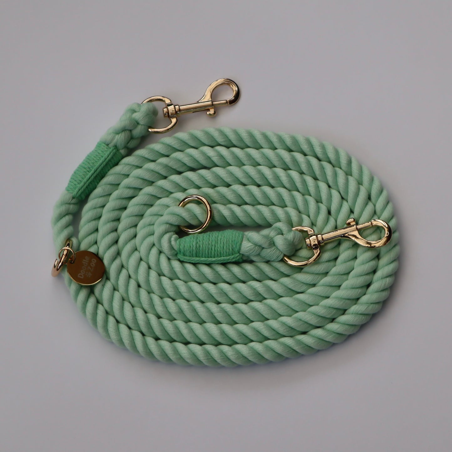 Multiway Dog Lead - Mint