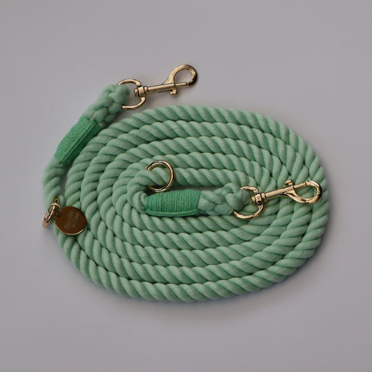 Multiway Dog Lead - Mint