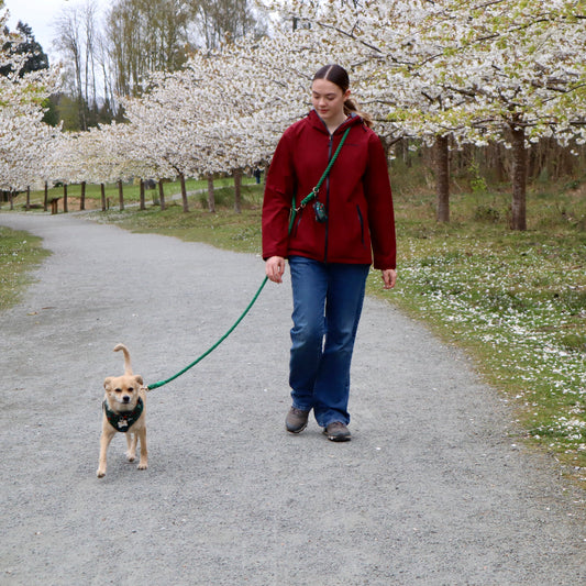 Multiway Dog Lead - Hunter Green