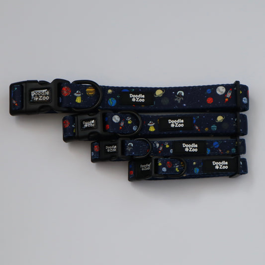 Dog Collar - Out Of This World!