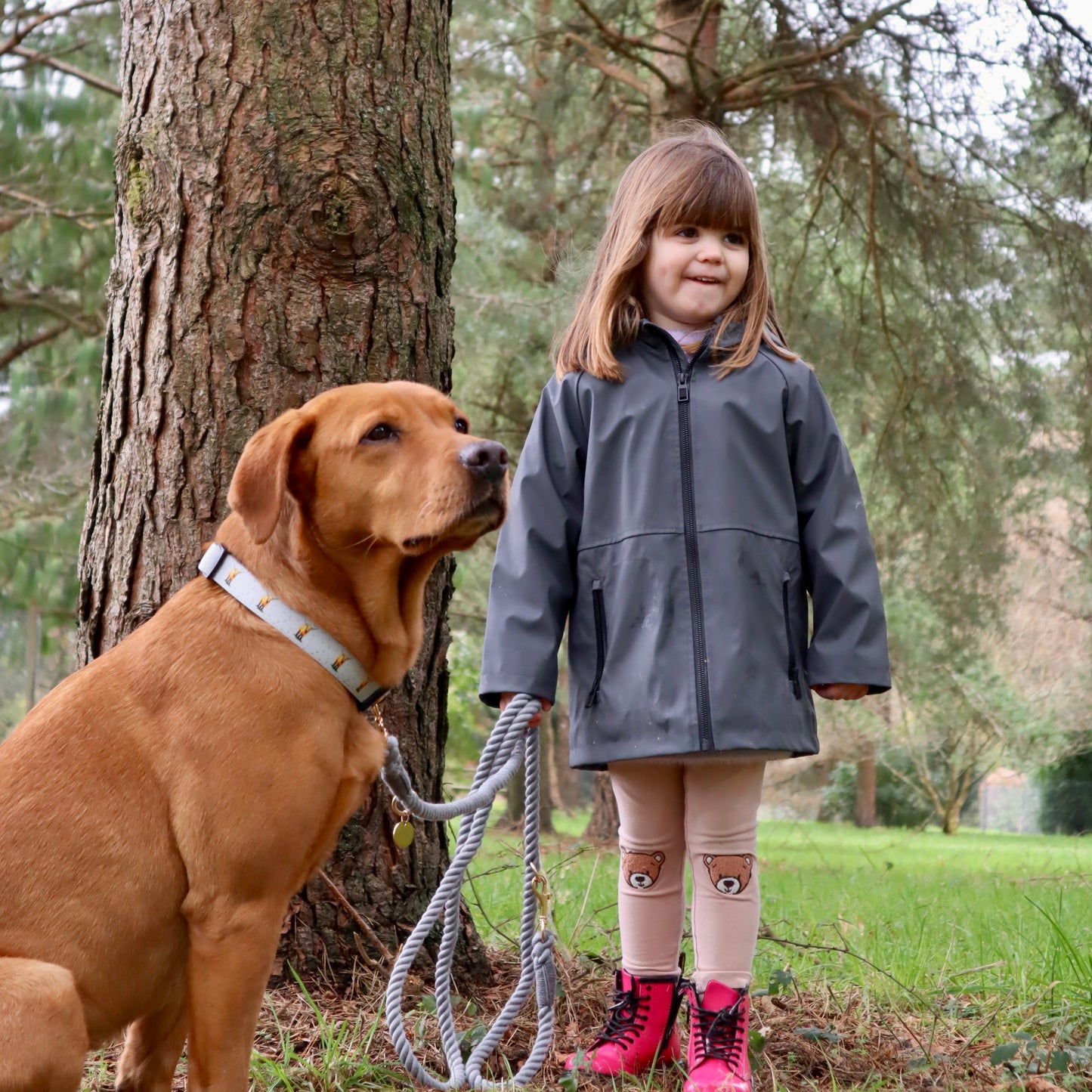 Multiway Dog Lead - Steel Grey