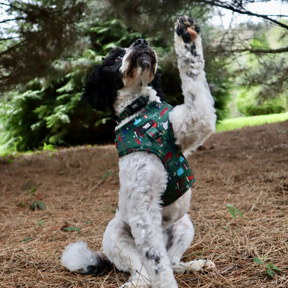 Adjustable Dog Harness - Derby Daze