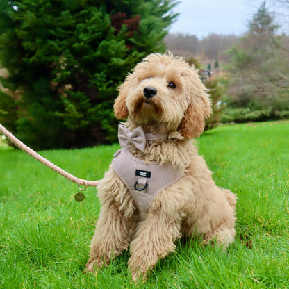 Adjustable Dog Harness - Rural Collection - Walnut
