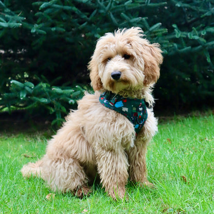 Adjustable Dog Harness - Derby Daze