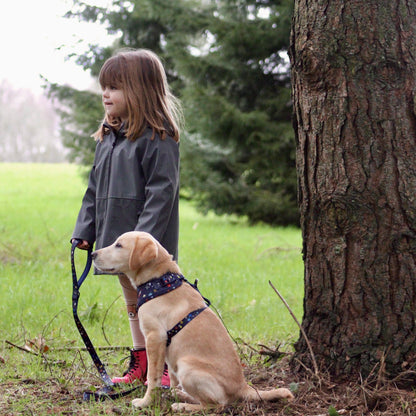 Adjustable Dog Harness - Out Of This World!