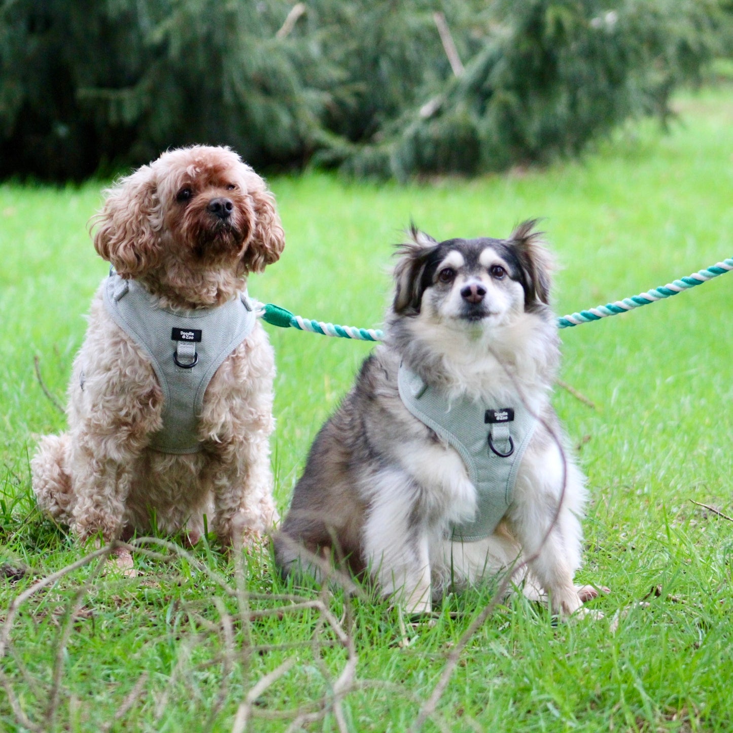 Multiway Dog Lead - Mint Swirl
